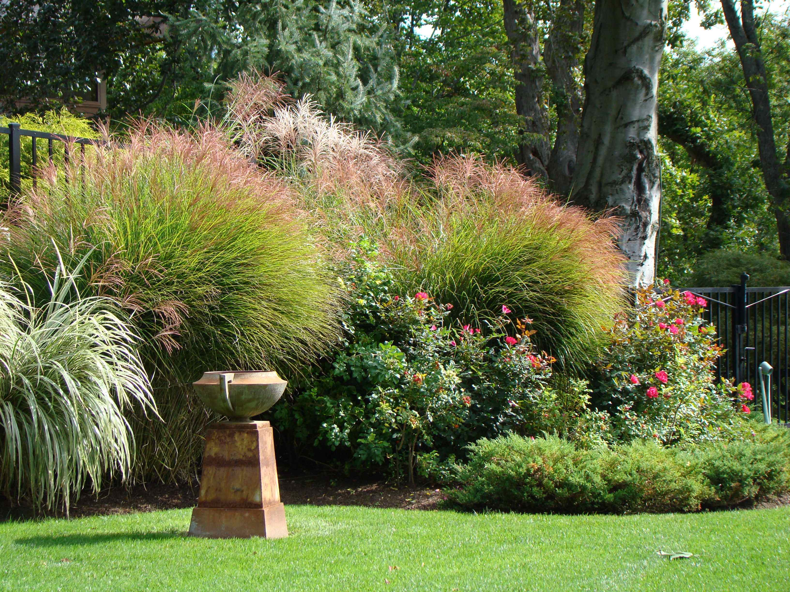 What Can a Landscape Maintenance Expert Do for You?