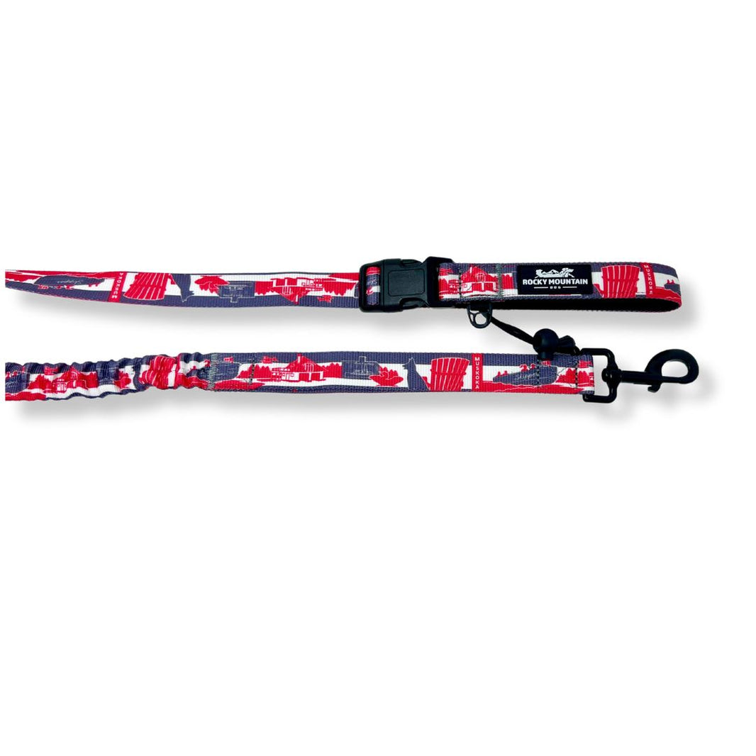 Canadian Rockies Dog Leash '23 Series